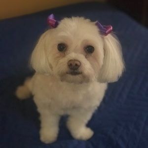 Meet your Posher, Viviana